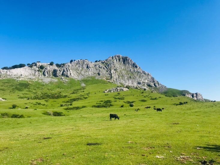 Subida al Gorbea dese pagomakurre Subida al Gorbea dese pagomakurre