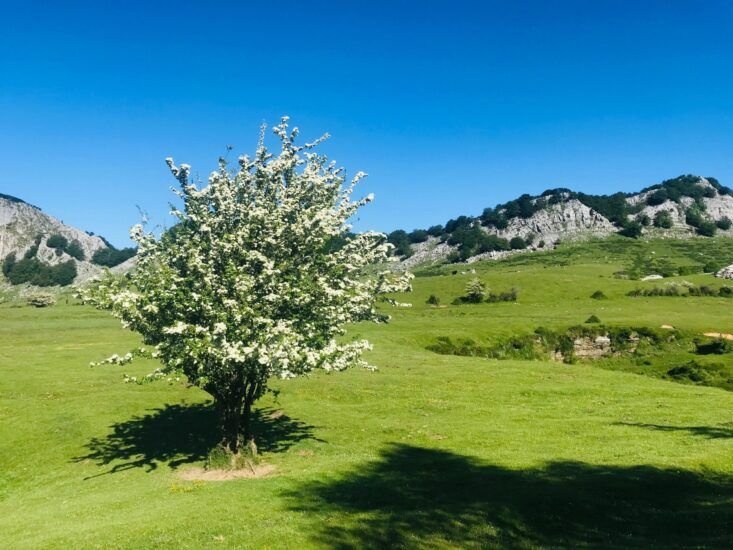 ruta gorbea desde pagomakurre ruta gorbea desde pagomakurre