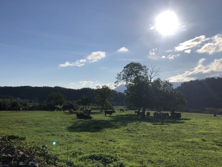 Ruta calzada romana Irús -Arceo