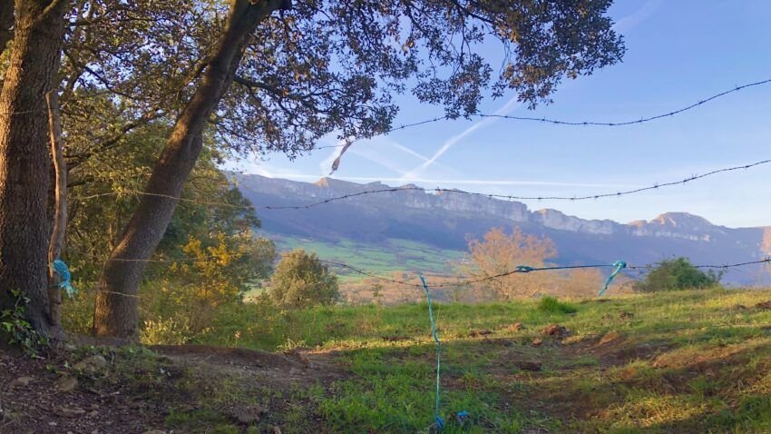 Peña Lastra desde Entrambasaguas