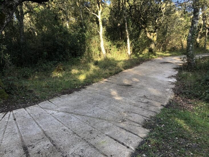 Peña Lastra desde Entrambasaguas