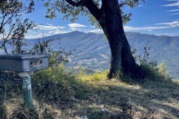 Peña Lastra desde Entrambasaguas