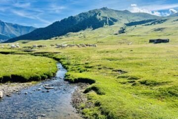 Qué hacer en el valle de Arán con niños