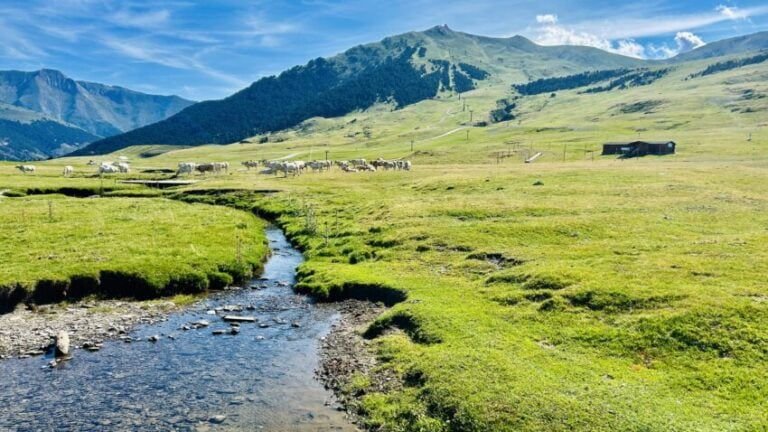 Qué hacer en el valle de Arán con niños
