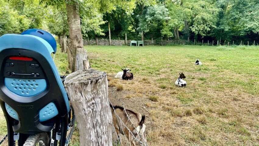 Silla portabebés bici