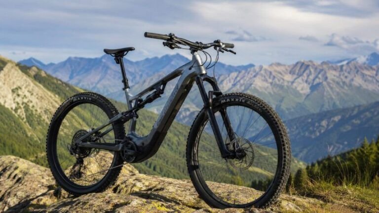 Bicicleta eléctrica de montaña en la cumbre